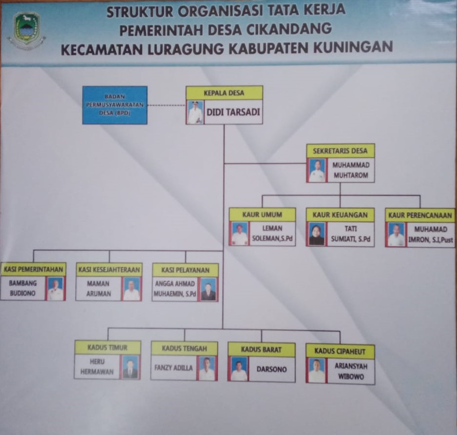 struktur organisasi