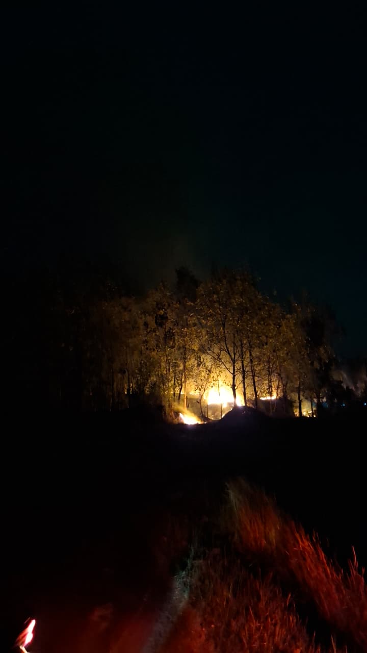 Api Membakar Hutan Blok Citerong Desa Cikandang Pukul 01.00 WIB